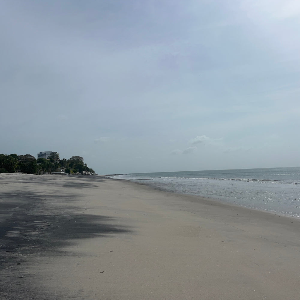 
                      
                        Apartamento playa coronado
                      
                    