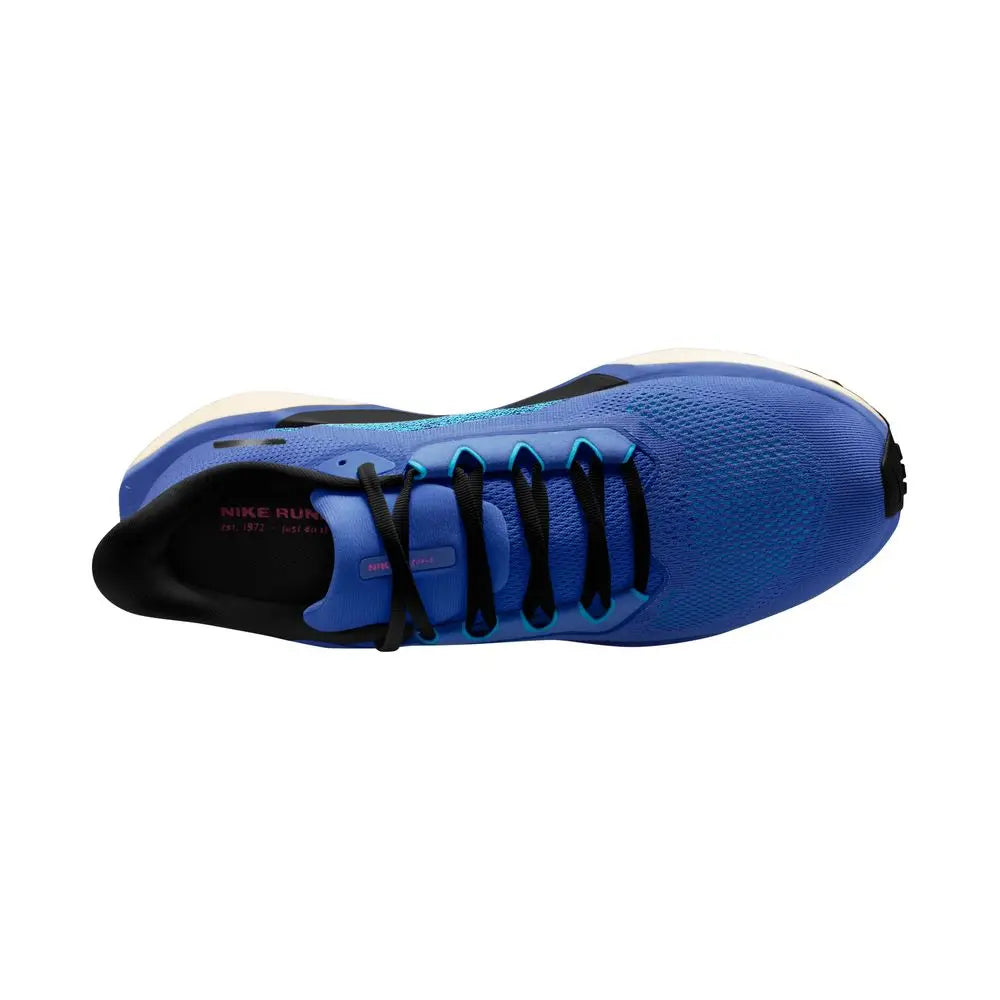 
                      
                        Zapatillas Air Zoom Pegasus 41 de Hombre
                      
                    