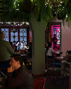 
                      
                        Pub Gin Garden
                      
                    